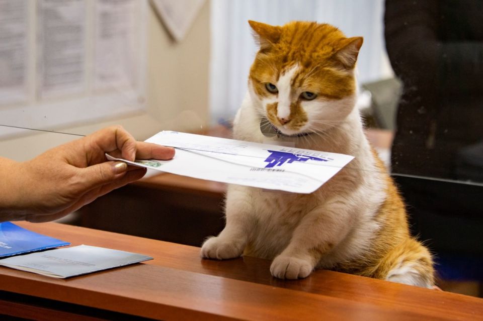 ��� ������: � ���� �� ����� � �� �������� �� ������ ������