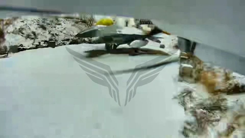 ���� �� �����������/������ F-16 �� ������� ������-��������� ��-35 �� Starlink �� ��������� �������� �������������� ������� ������ ������ "�������"