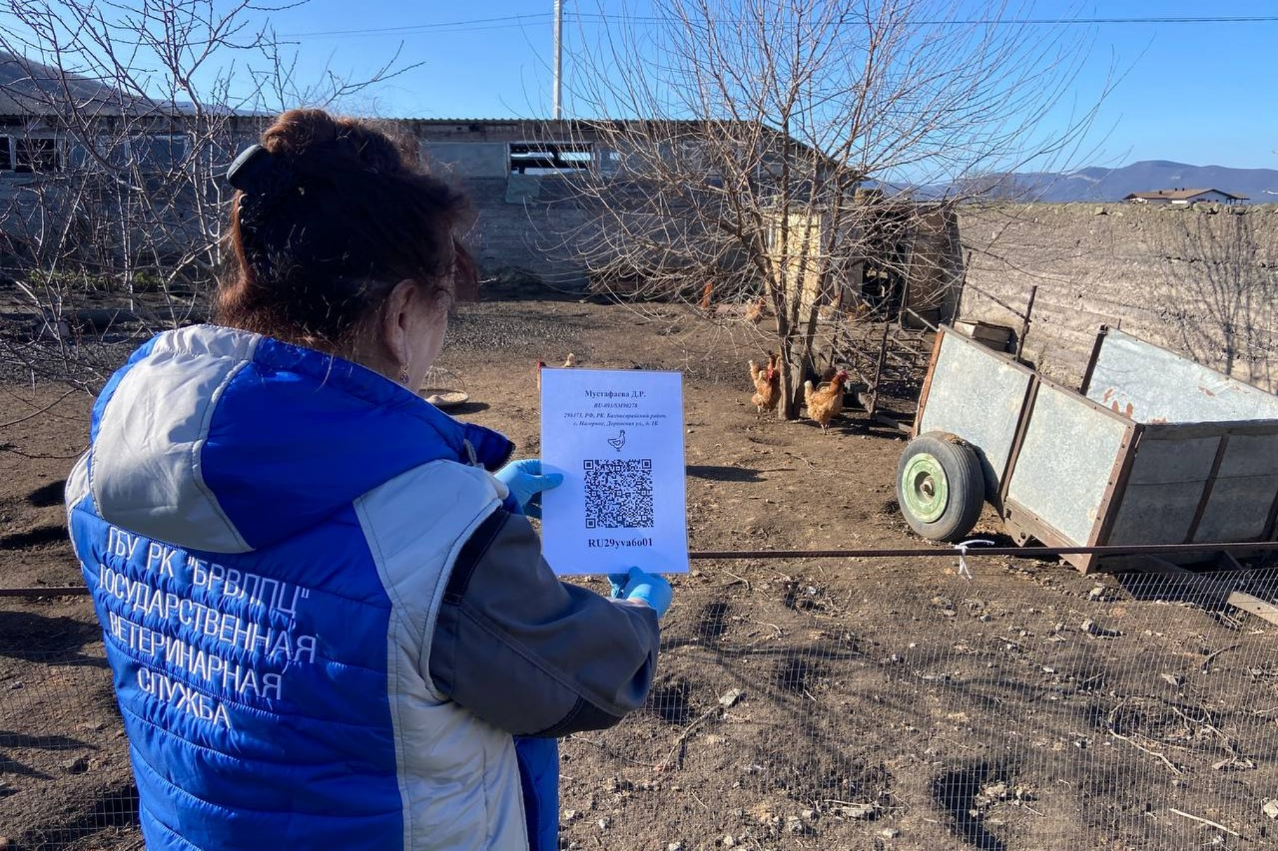Сотрудники Госветслужбы Крыма проводят плановую вакцинацию животных в Бахчисарайском районе