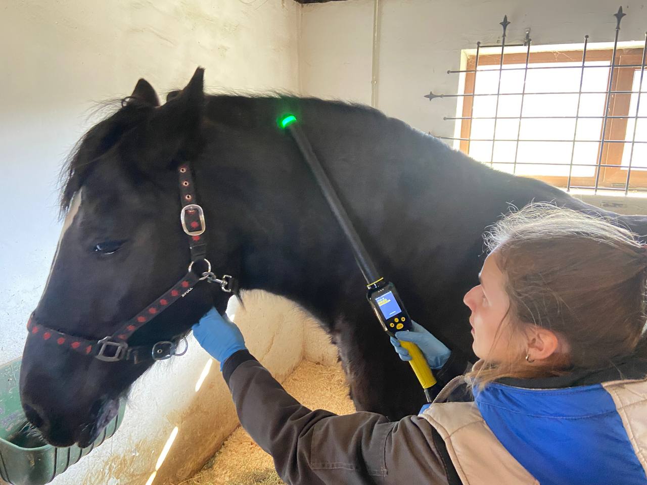 Сотрудники Госветслужбы Крыма проводят плановую вакцинацию животных в Бахчисарайском районе Сотрудники Госветслужбы Крыма проводят плановую вакцинацию животных в Бахчисарайском районе