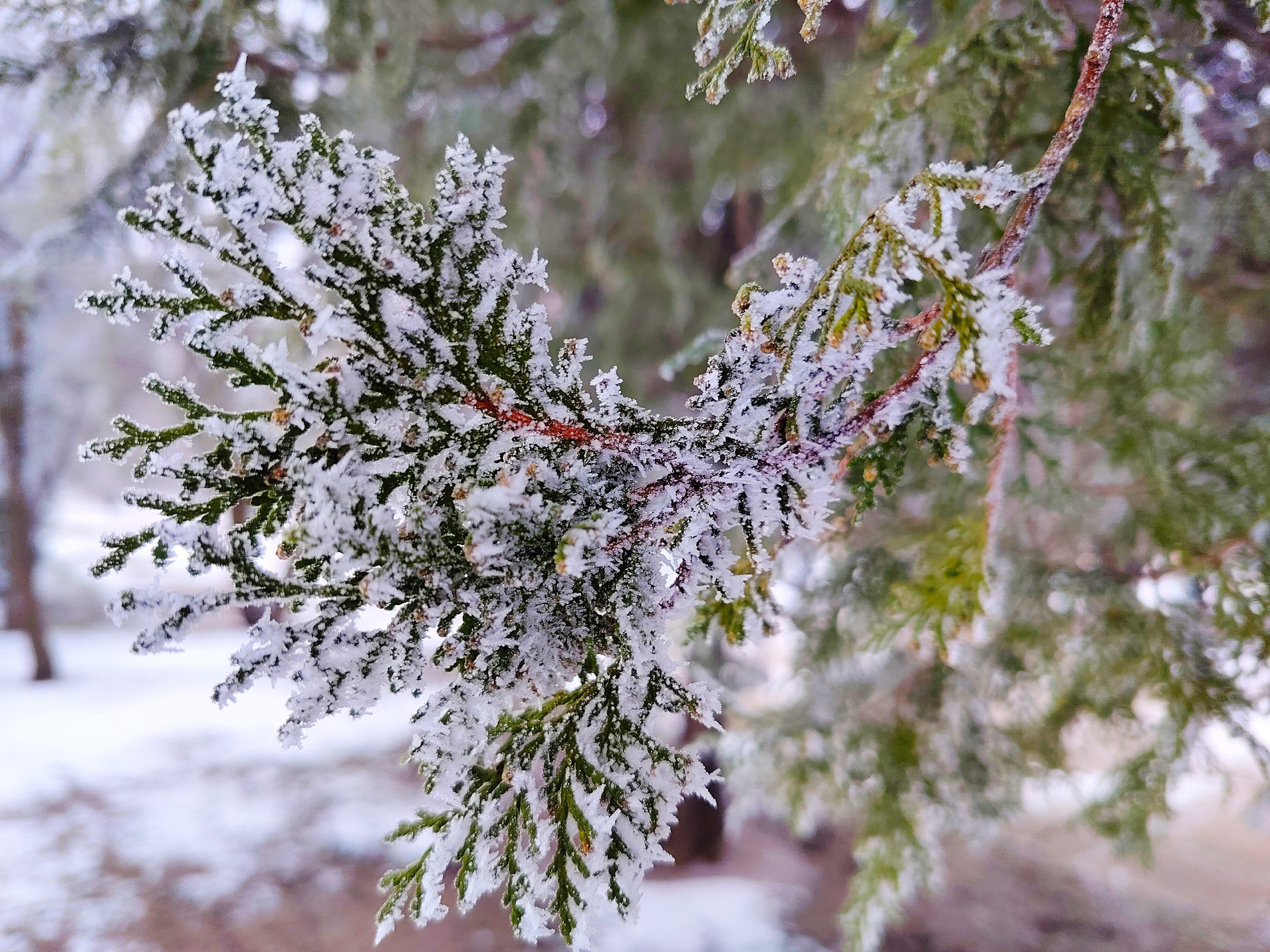 С добрым утром, Армянск!. Желаем, чтобы новый день начался с радостной улыбки, а все дела, даже самые сложные, решались успешно