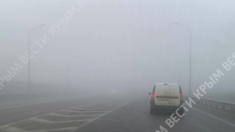 ����� ������ ������ ��������: ��������� �������