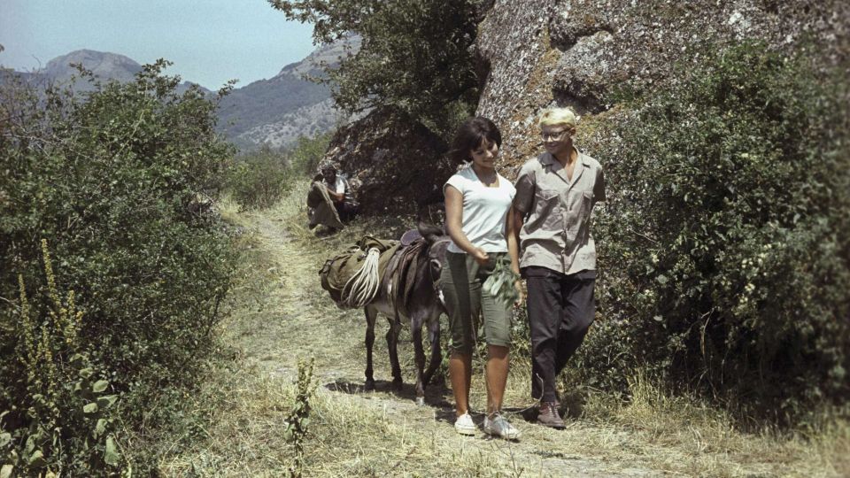 ���� ������: ��� �������� ����� � ������� ����� �����������