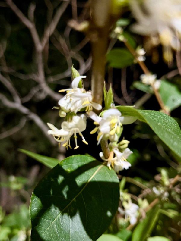 ���� ����: ��������� �������� �������� � ����