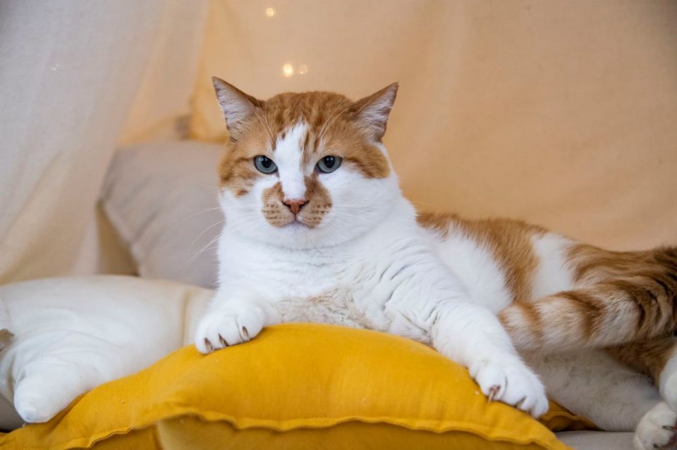 ��� ������: ���, �� ������� � ����� �������� ��������� ����