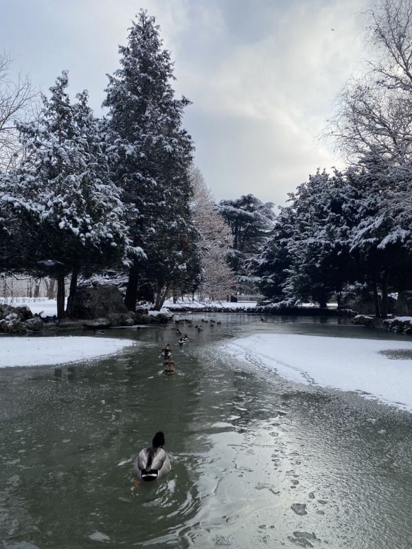 В понедельник в Крыму ожидается сильная метель