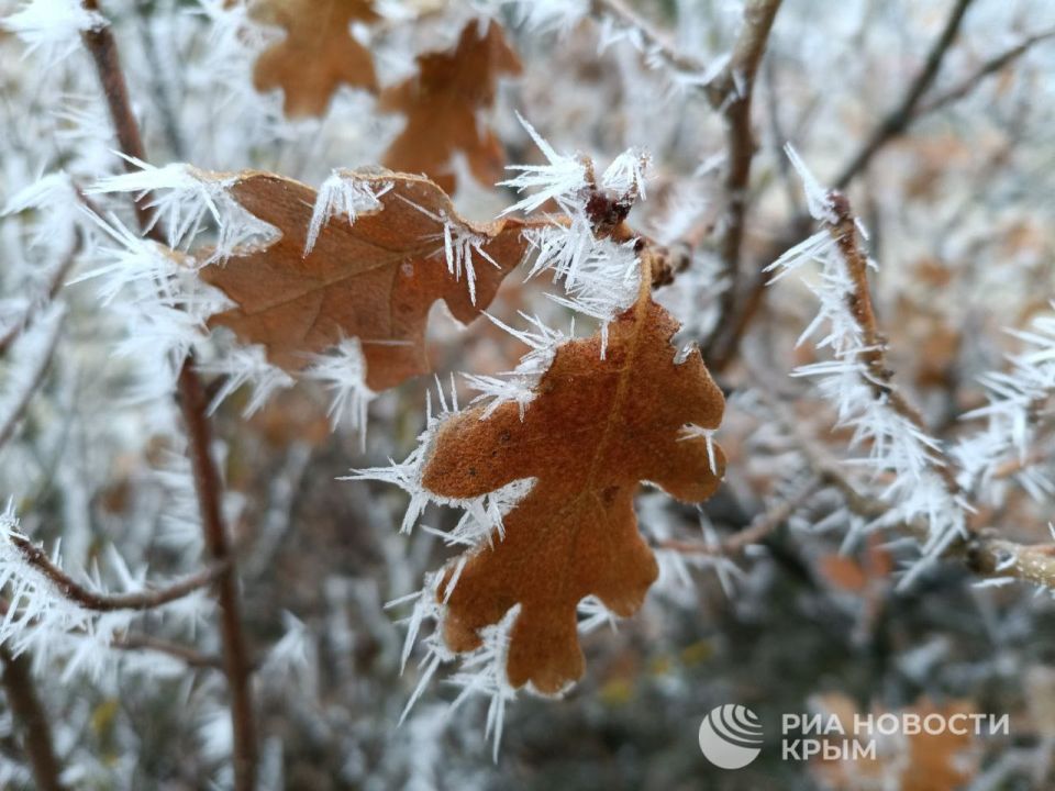 ������� � �������� ��������� ���������� ����� � �������������� ������