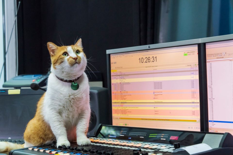 ��� ������: ����� ���� - ����� �����������!