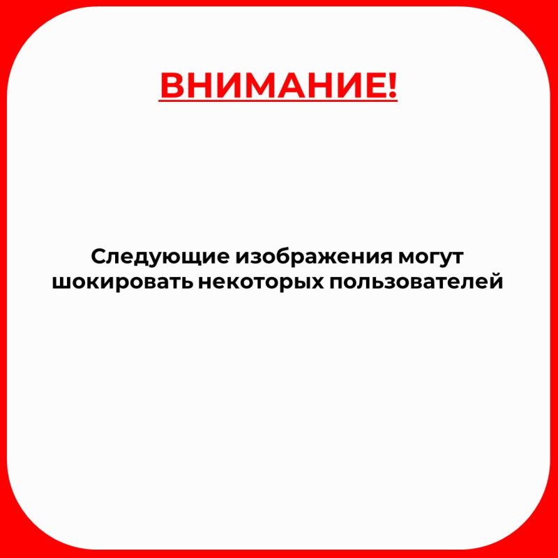 ��������������� ���������� ���������� ����� ������� ���� ���������� ������ ������ �����������