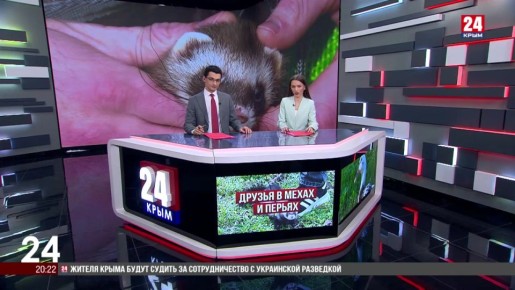 ����� �� ������������ �������� �������� � ������� ������ � ������ �����