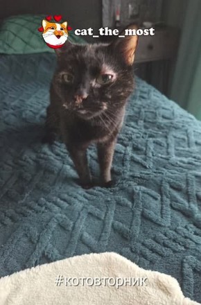 ��� ������: � ���� �������� ����������� ���� ���� �������� � ���� ����