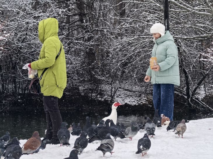 ��������� ��� �� ���������� ���� ���������������� � 1 ������� ���������� � ��������� ������� �� 5,6%