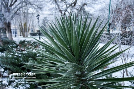 ������ ����, ���������!. ����������� ������� ���������� ������� �� -3��