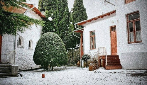 � �������, ������� � ���� � ������: ����������� ���������� ����������� �� ����� ���� � ����