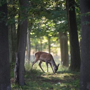 � ����� ������� ���������� ����� ����� �� ���������� ������ ������