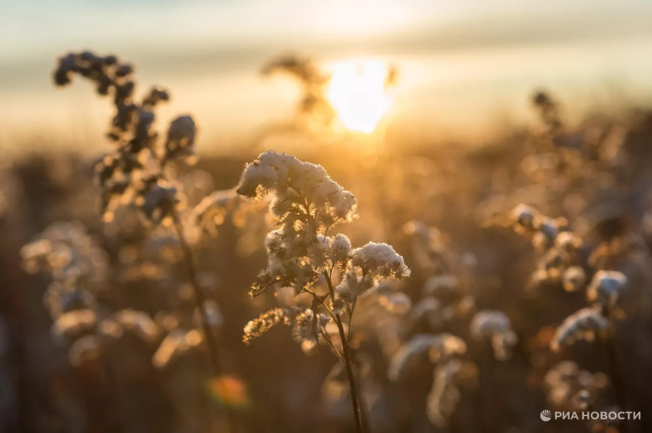 Погода на новых территориях России