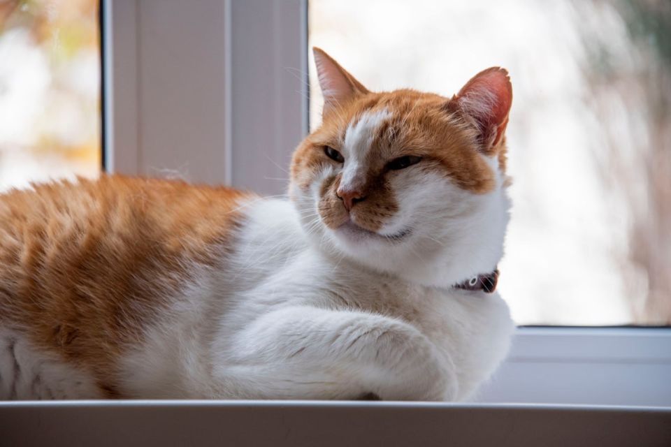 ��� ������: ���� �������� � ���������! ������� ����������� �� ����� ������ � ����� ���������� - ��� ������� ��������