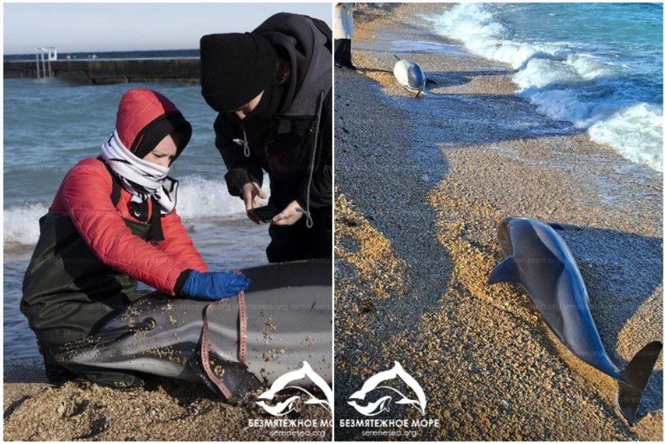 � ����������� � ���������� ���� ����� ������, ����� � ���������� ����� ����� ���� ������� ���������