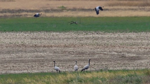 ���� ������ ������: � ����� �� �������� ��� ������ ������������� �����