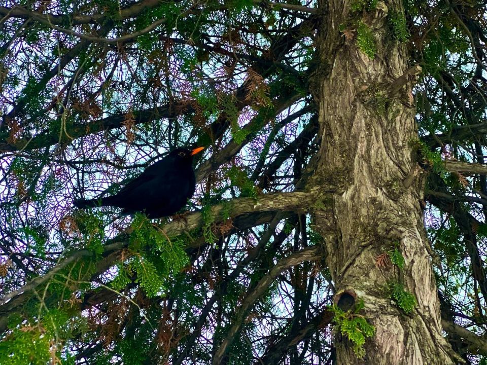 � ������ �����, �������!. ����� ��� ����� ���� ���������� ����� � � ���������� �����������! ������ ������������ ���, ���������� ������������ �����, �������� � �������! ������� � �������� ���������� ����������, t 0 - -8...