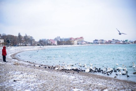 ������ ����, ���������!. ����������� ������� ���������� ������� �� +3��