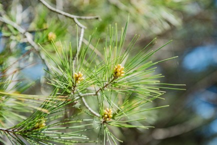 � ������ ��������������� ������ 65 �������� ������������ � ������ ����������-��������� ������������