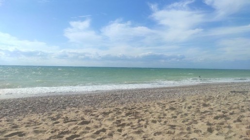 �������� ���� ����� ������������ � ������� ��������� �������� ������