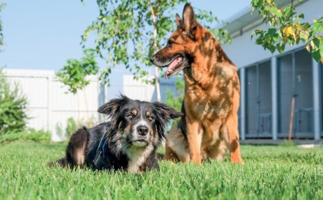 ��� ��������� ������� ������ ������ � �������� ��������� ����� ���������