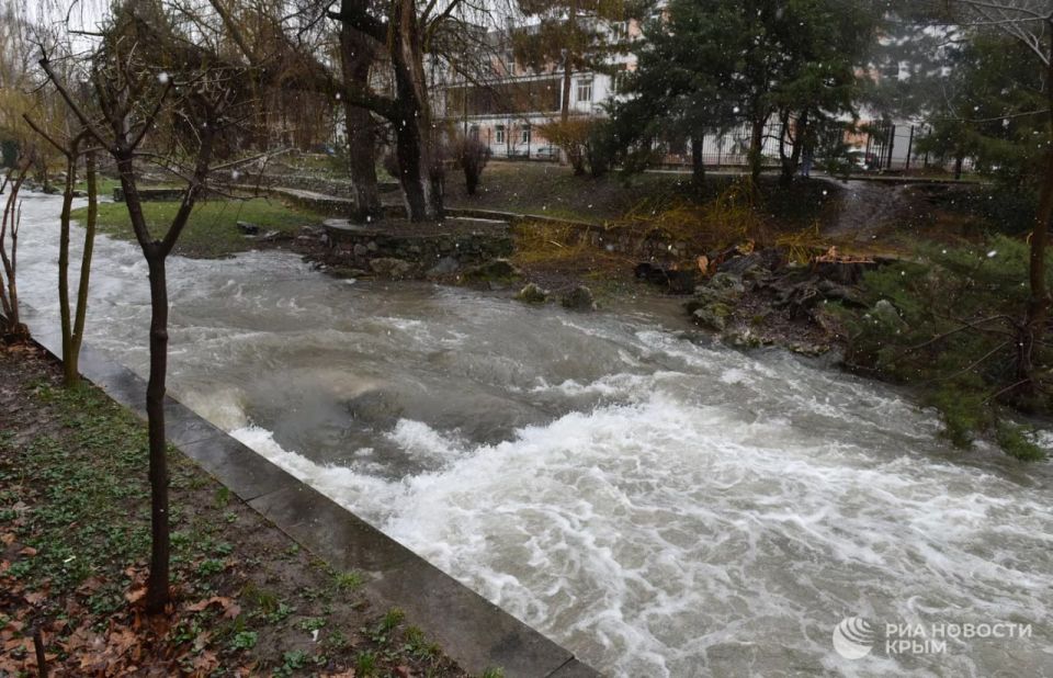 � ����� ����� ��������� ����� ����������� �����������