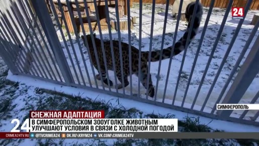 � ��������������� ��������� �������� �������� ������� � ����� � �������� �������