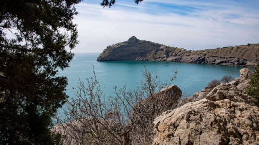 ��������� ����� ���������� �� ������ � ����� ���� � �����