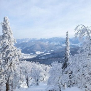 �� ��-����� ������ ����� � ������ ��������� �������� ����� ����� ��� � ��� ����