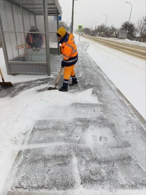 116,5 ������ "���������" �� ����� �������� �� ����� ��������� � �����