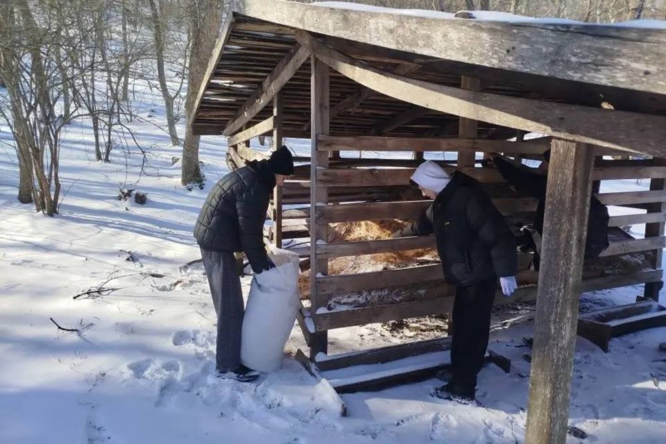 Сотрудники ГАУ РК «Старокрымское лесоохотничье хозяйство» проводят биотехнические мероприятия