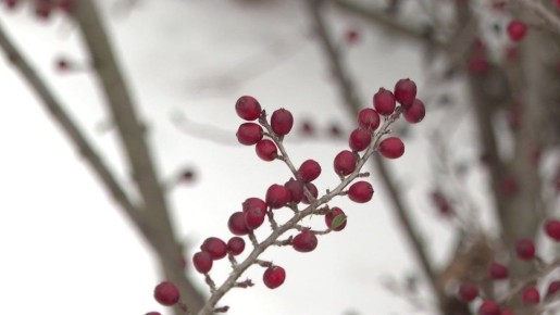 ������ ����, �����������!. #����������� #����