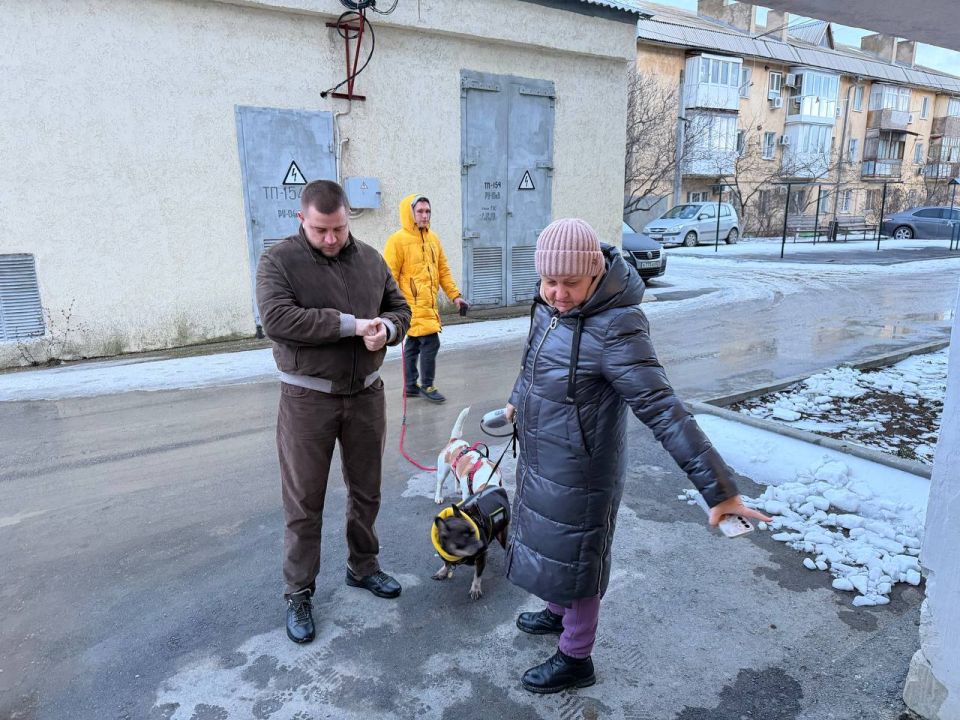 ������ �������: ��������� � ������������ ����� ������������� �������� ����������� ����������� ����� �� ����� ����������, 11 � ������