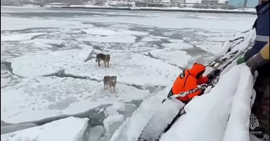 ��� ������: ������� ��� ���������� � �������� �����