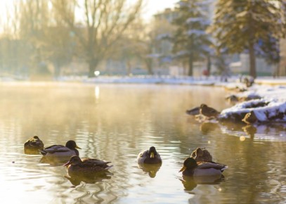 ������ ����!. #�����������