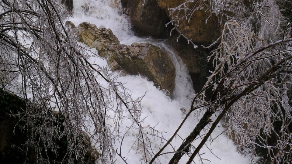 ������� � �������� ����-�� � ������ ���� ����� ������ ��� ���������������� ���������