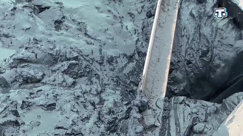 ����� �������� �������� � ����� ������� ����� � �������������