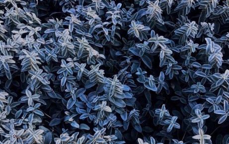 �� ��������� ������ � ����� ���������� �� -10 ��������