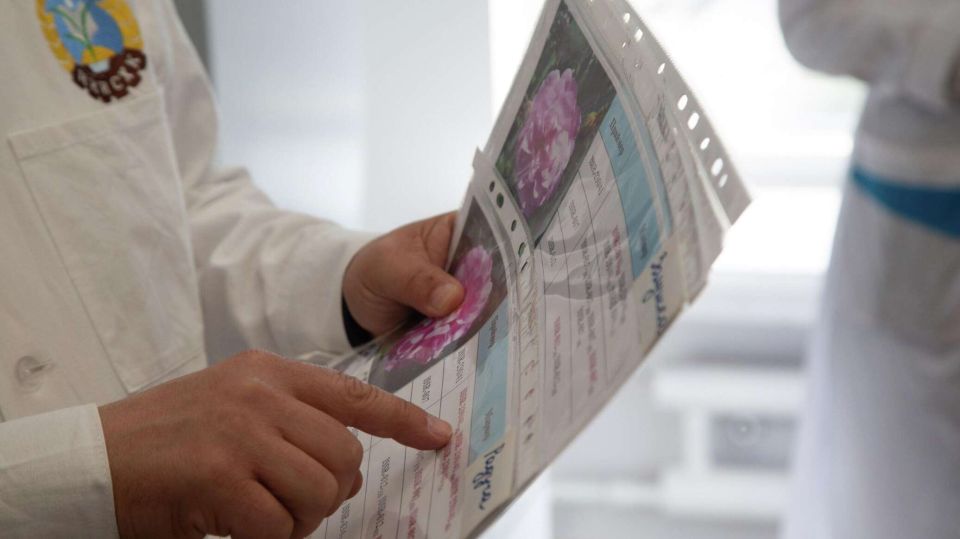 В Крыму утверждена госпрограмма научно-технологического развития