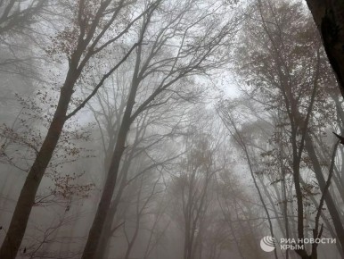 ������� ������ � ����� �� �����������