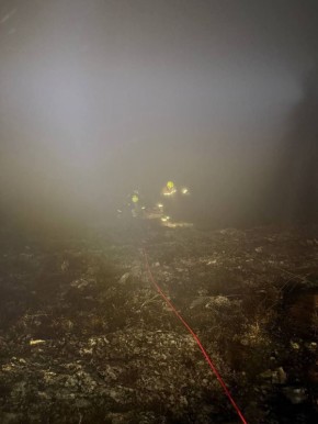 � ������ ���� �������� �� �������������� ���� ���ǻ �������� �� ������ � ������ ����� 200 ������