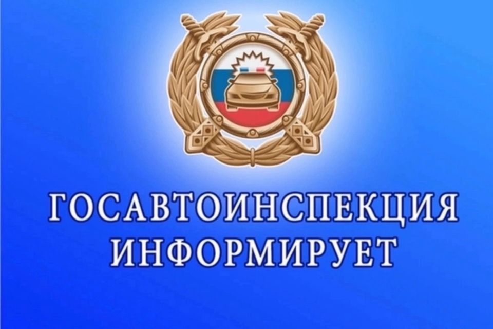 ���������� ���������������� ��������������� ������ �������� ����������-���������������� ����������� ��������. ���������� �������