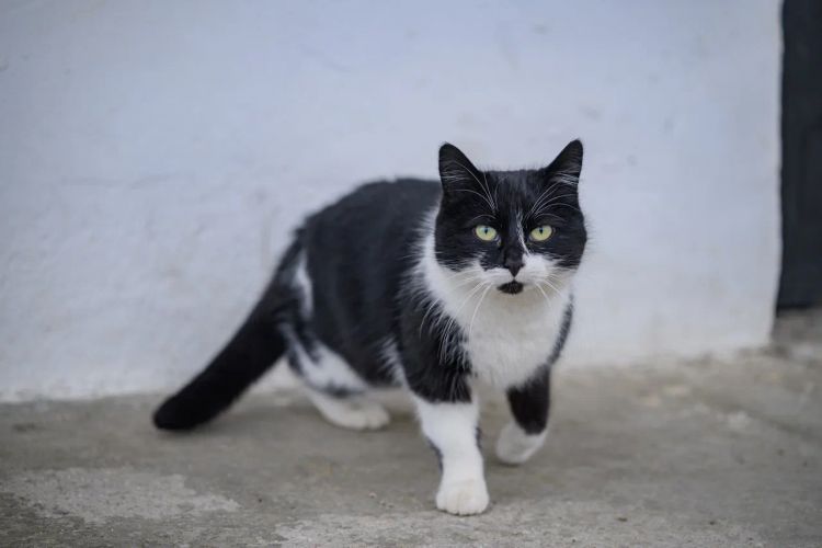 �� �������� ������������ ����������� ������� ����� 100 ��������