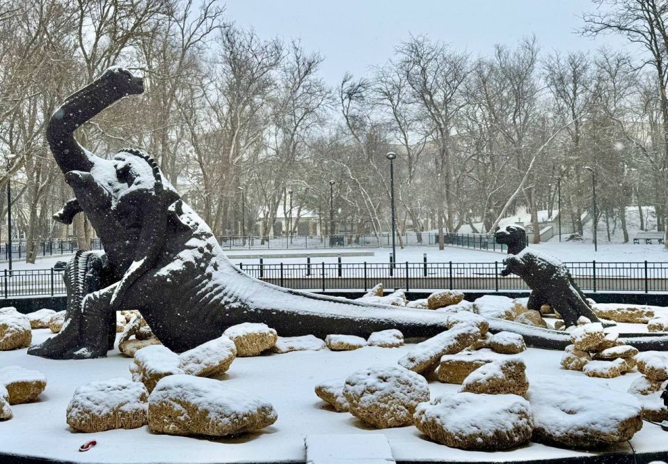 ���� ����������: �������� �� ������� �������� �������, ���� ������� �������������� ������������ ��� ������ � ������������