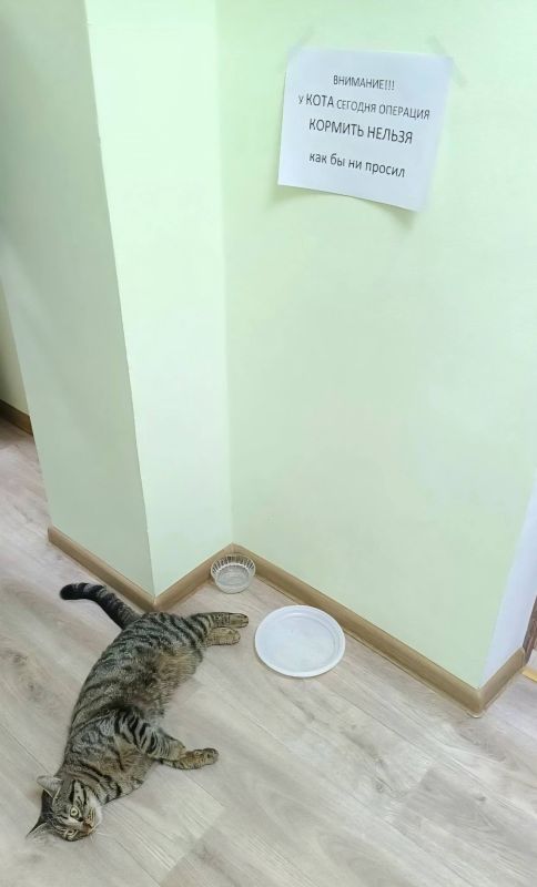 ���� ������������� ������ ����� ������ ��������� �������������