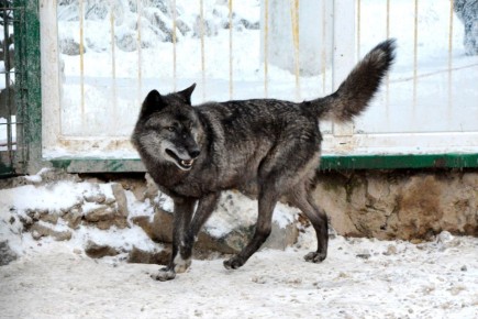 ��������� � ����� - �� �������: ������� ������� �� ����� � �������� ����������