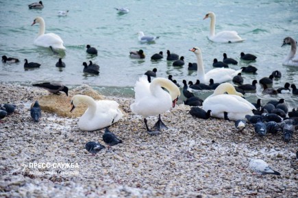 � ����� ����� ��������� � ����� ������� ������